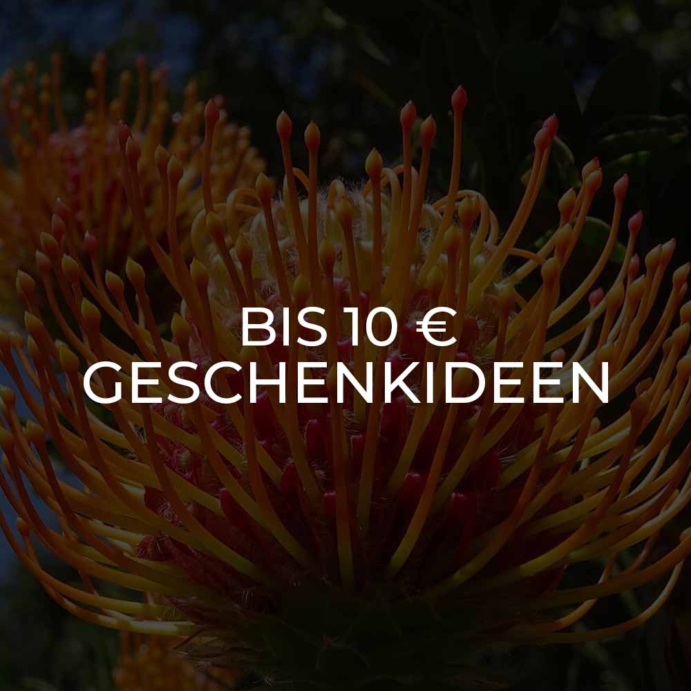 Geschenkideen bis 10 €