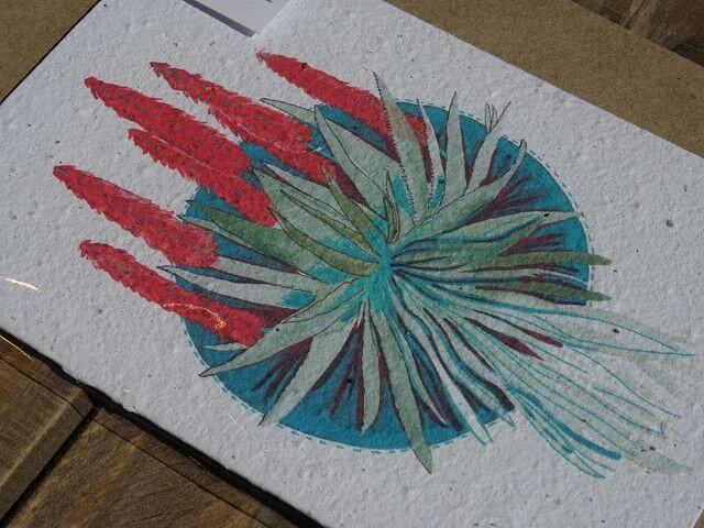Growing Paper Grußkarte "Aloe" Colour me Africa