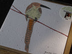 Growing Paper Grußkarte "Bird 1" Gemma Orkin