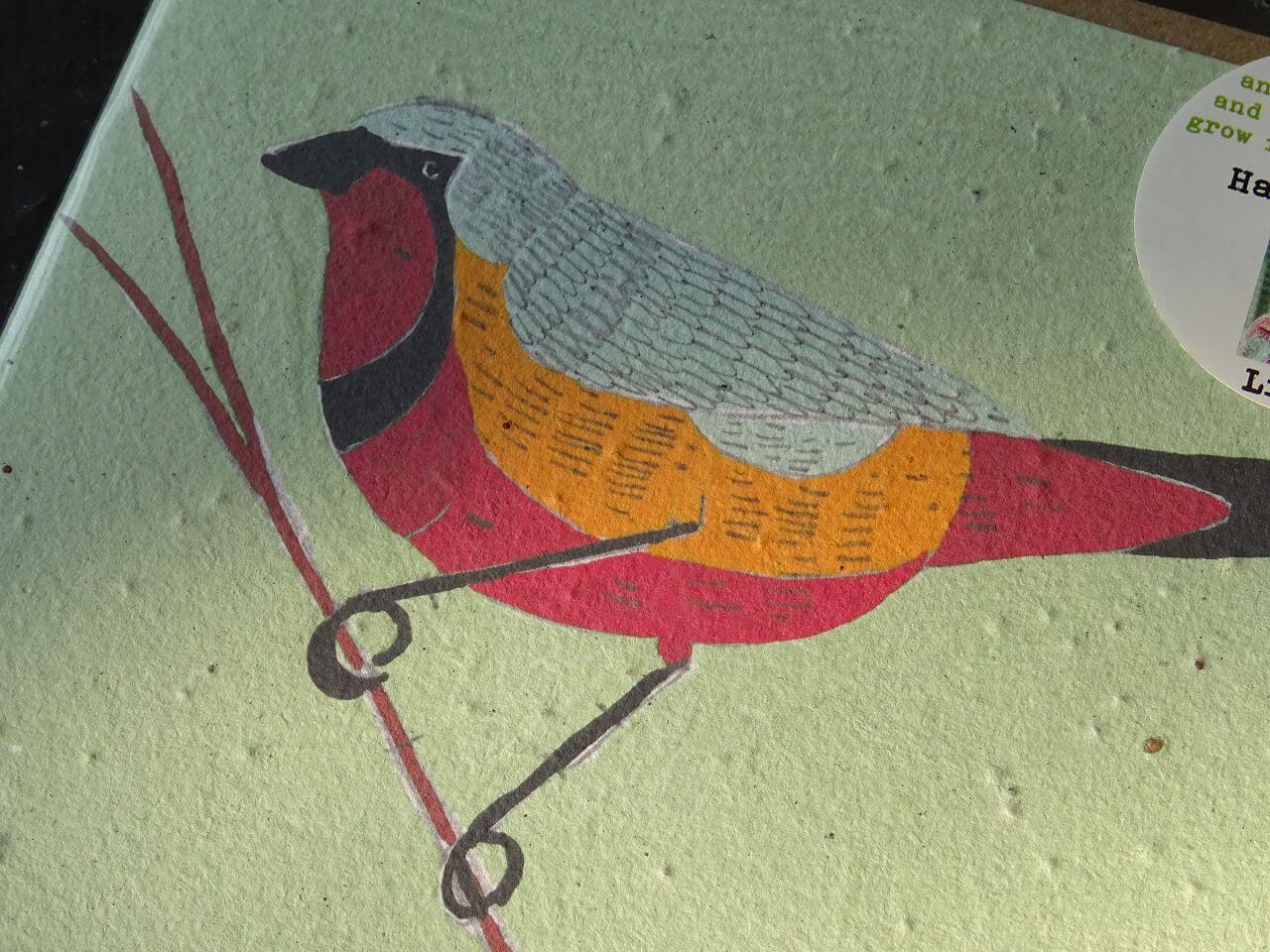 Growing Paper Grußkarte "Bird 3" Gemma Orkin