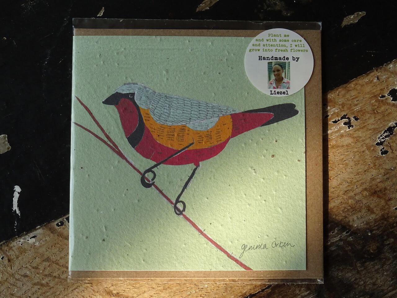 Growing Paper Grußkarte "Bird 3" Gemma Orkin