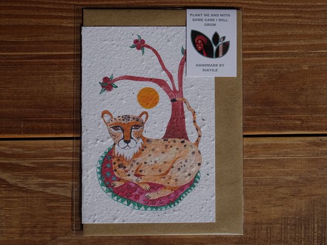 Growing Paper Grußkarte "Cheetah" Colour me Africa