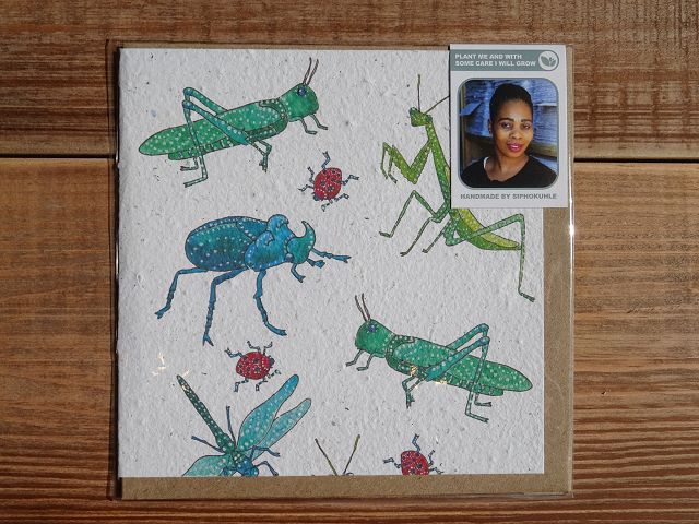 Growing Paper Grußkarte "Insects" Pudding & Pickles