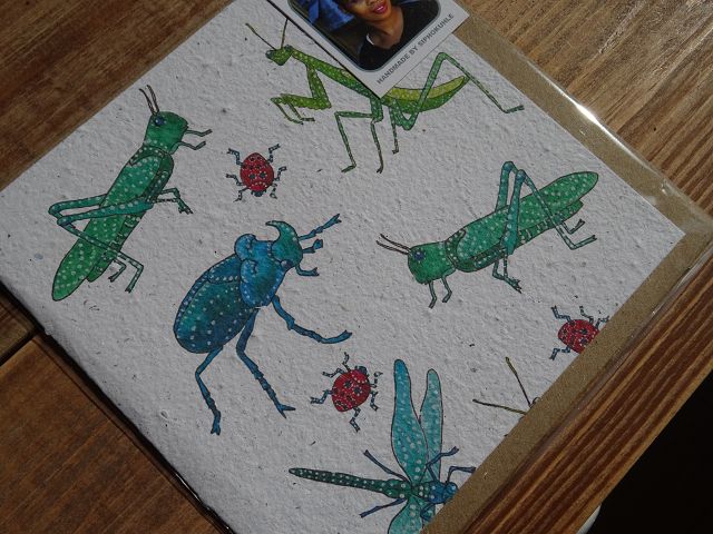 Growing Paper Grußkarte "Insects" Pudding & Pickles