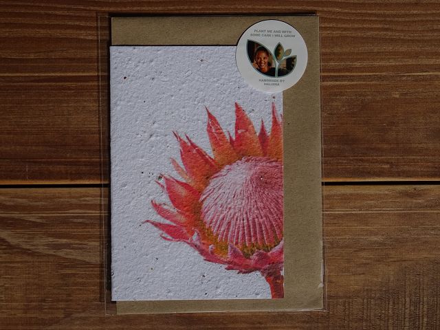 Growing Paper Grußkarte "King Protea" Paper Tales