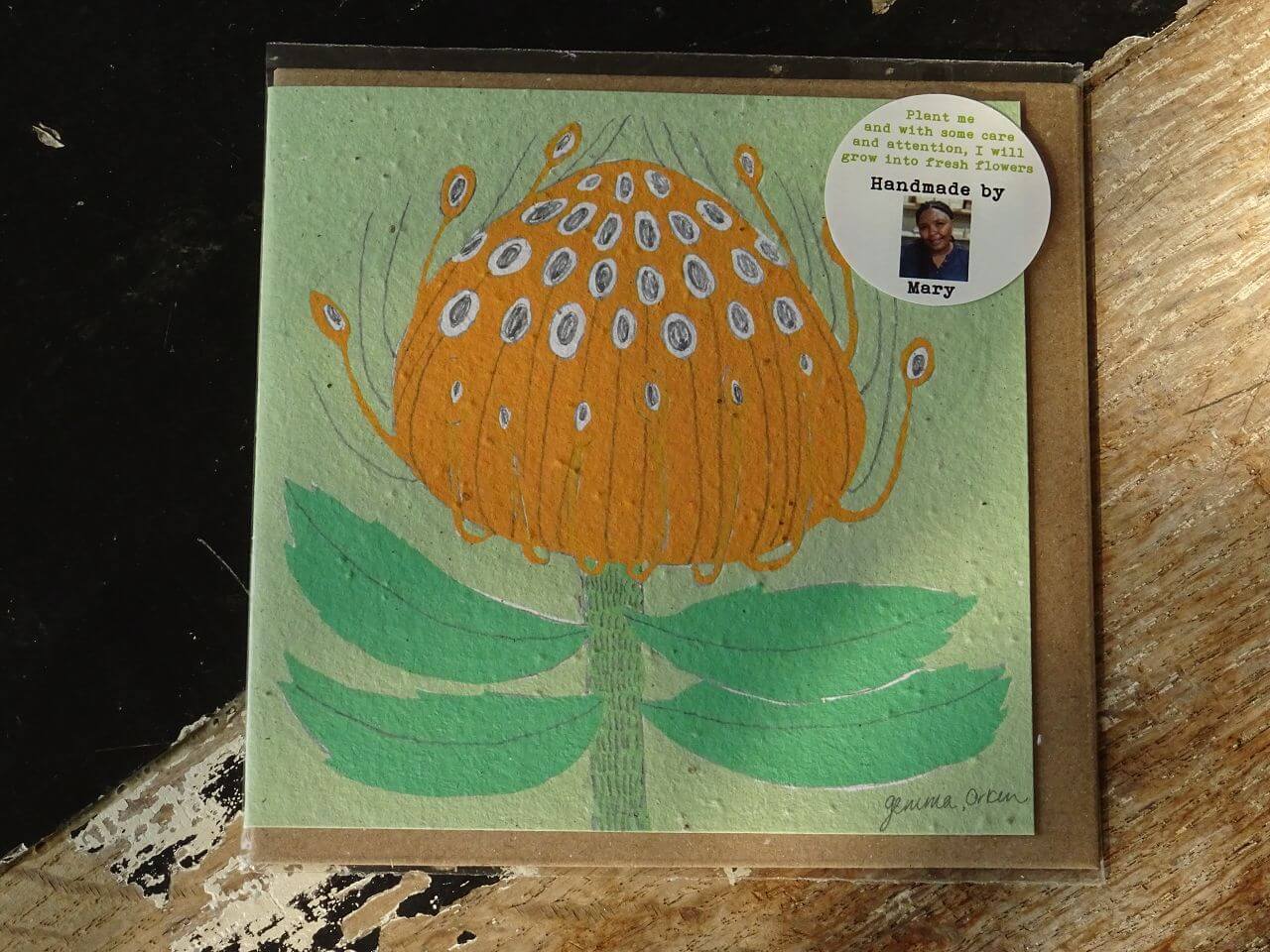 Growing Paper Grußkarte "Pincushion Protea" Gemma Orkin