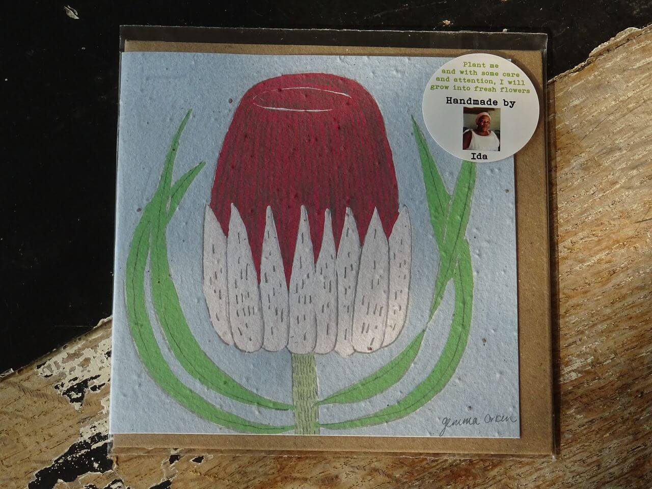 Growing Paper Grußkarte "Protea" Gemma Orkin