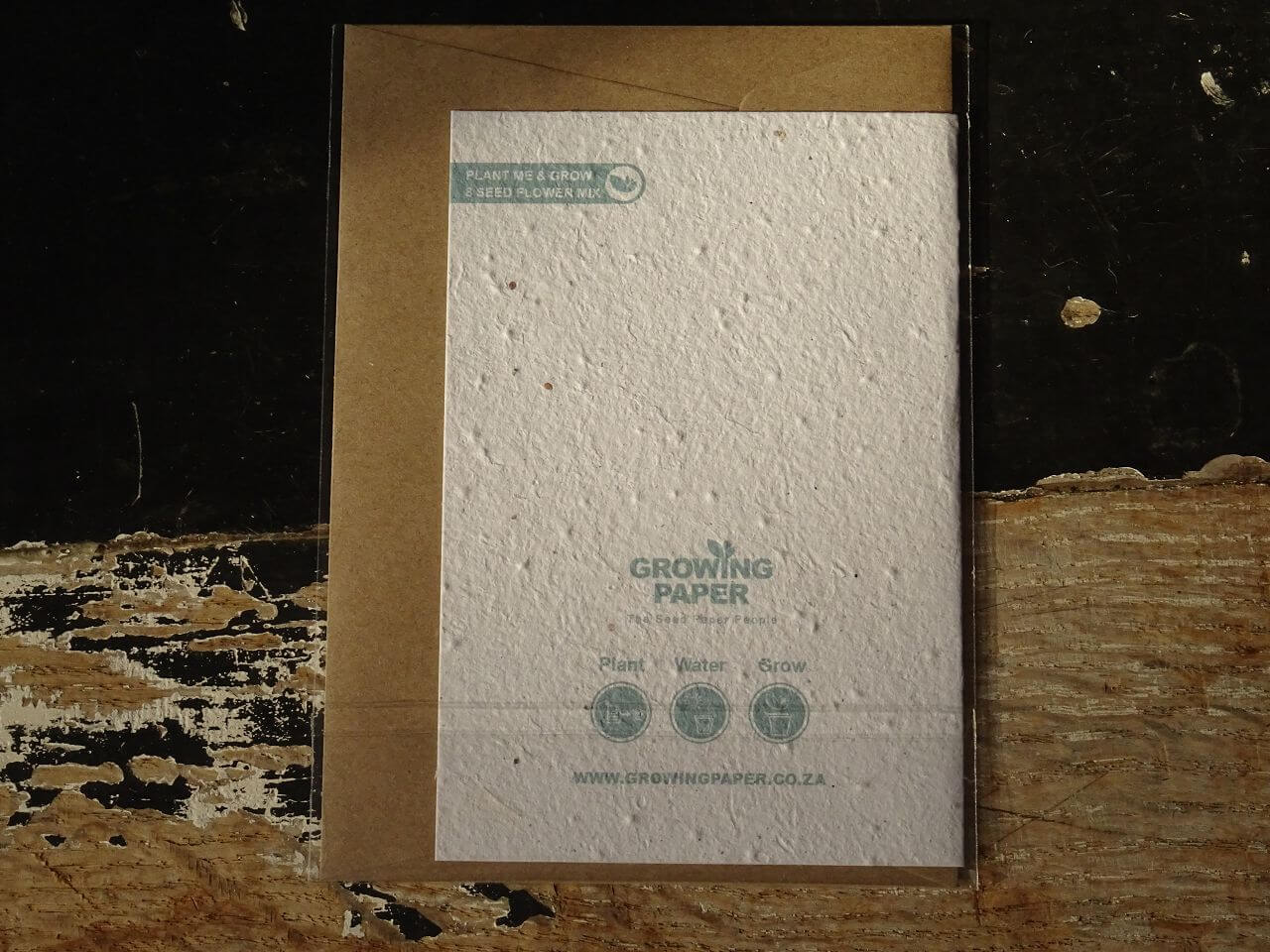 Growing Paper Grußkarte "King Protea" Paper Tales