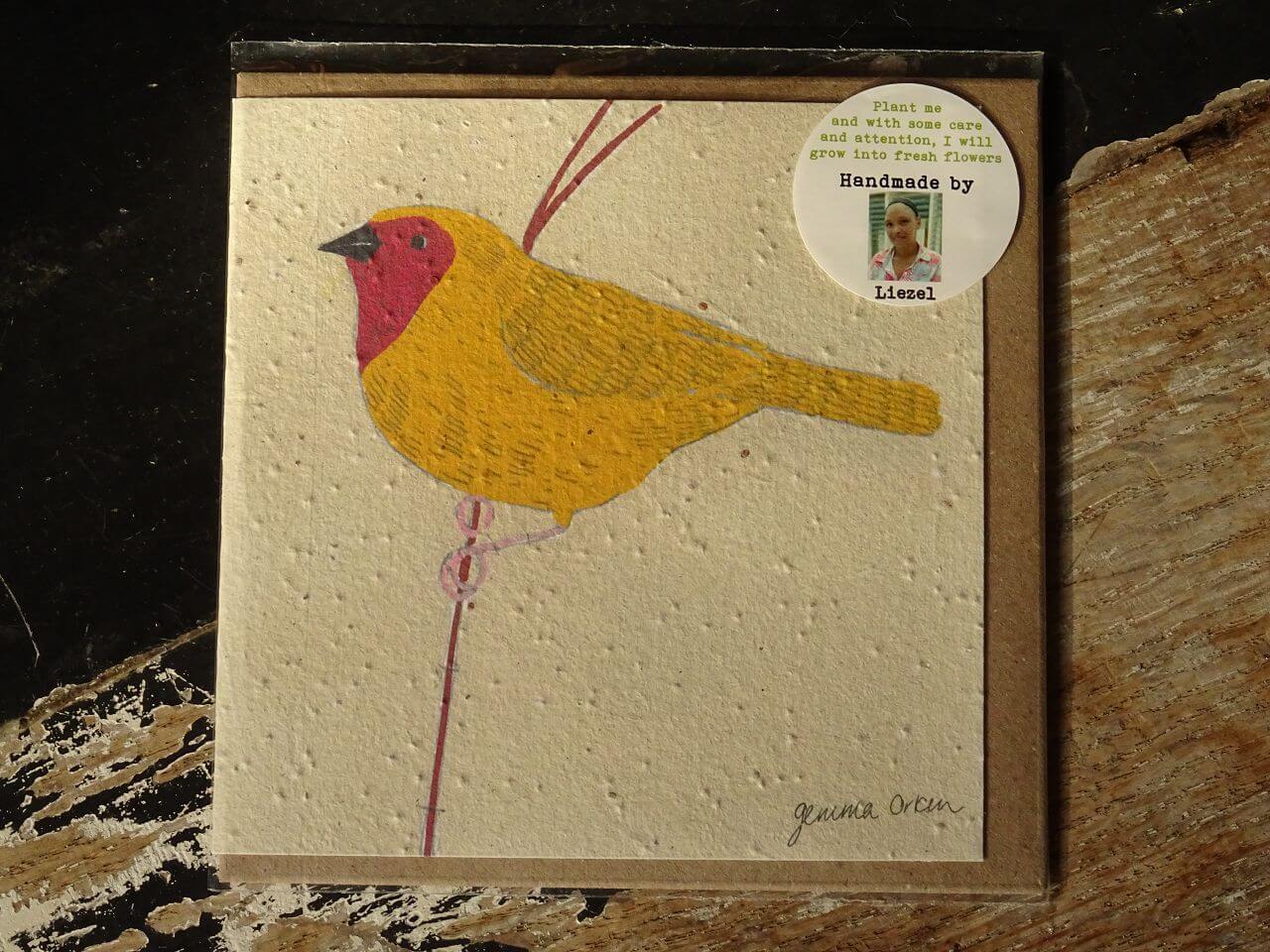 Growing Paper Grußkarte "Bird 2" Gemma Orkin