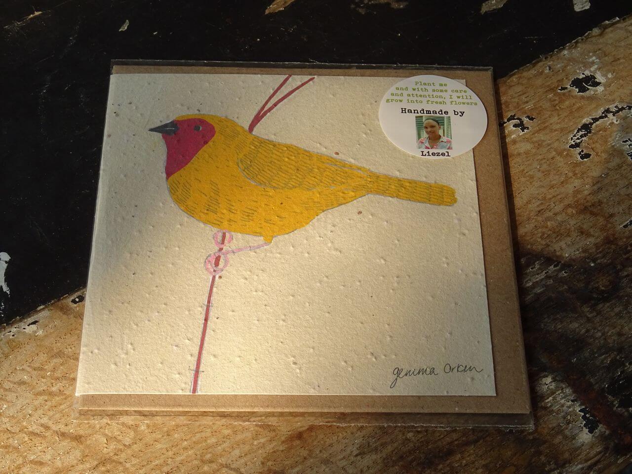 Growing Paper Grußkarte "Bird 2" Gemma Orkin