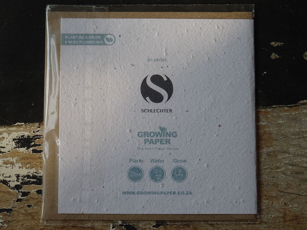 Growing Paper Grußkarte "Protea Cynaroides" Willie Schlechter