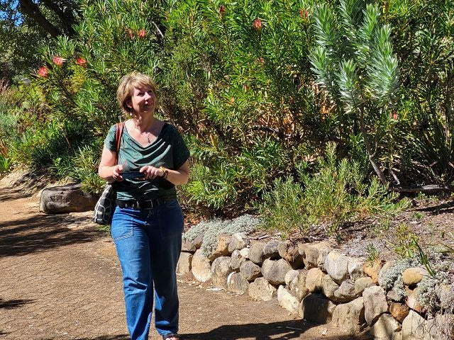 Auf dem Foto sieht du Simone im Kirstenbosch Botanical Garden in Kapstadt vor den Sugarbush Proteas