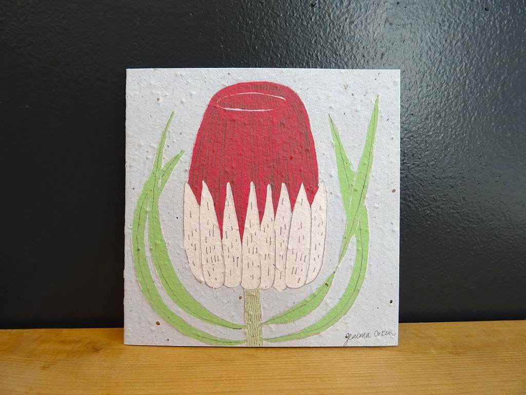 Grusskarte von Growing Paper ZA Südafrika aus Samenpapier bedruckt mit einer Protea