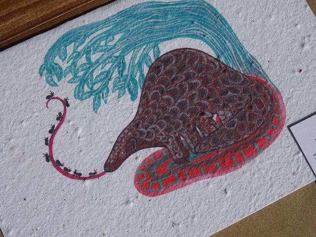 Growing Paper Grußkarte "Pangolin" Colour me Africa